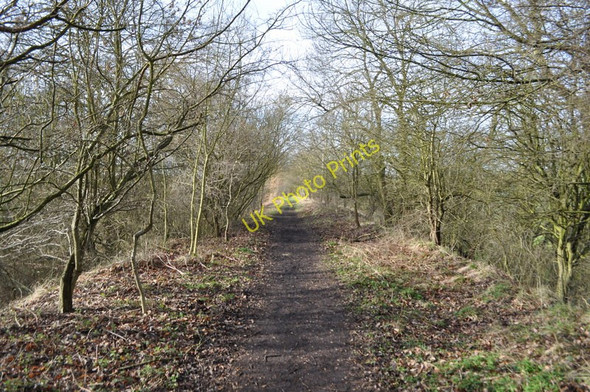 Photo 6"x4" Rowthorne Trail Rowthorne c2011 P1