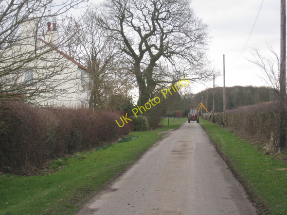 Photo 6"x4" Hedge Trimming at Bleasby Moor Bleasby Moor c2011