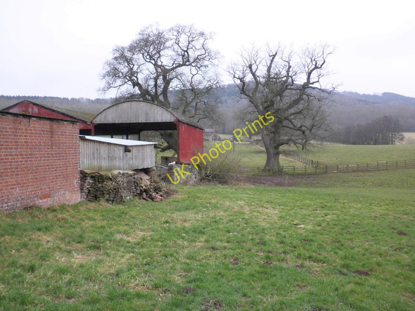 Photo 6"x4" View across Mynde Park Orcop Hill c2011