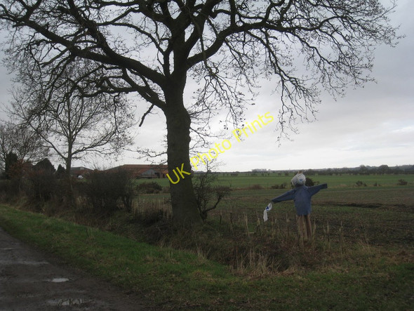 Photo 6"x4" Border Guard Little London\/TF1486 c2011