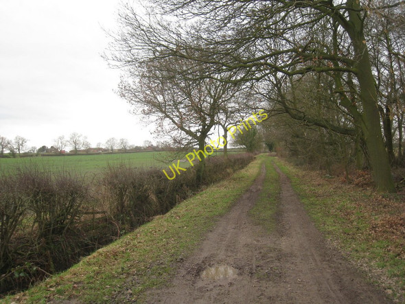 Photo 6"x4" The bridleway to Collow Little London\/TF1486 c2011