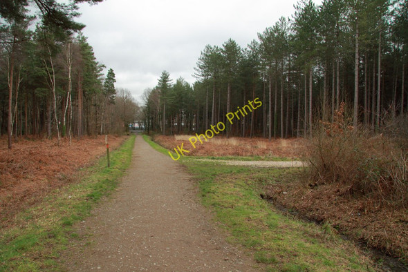 Photo 6"x4" Templer Way Coldeast c2011