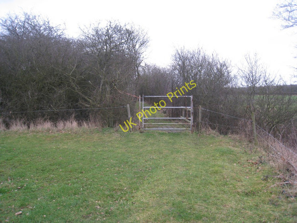 Photo 6"x4" Gate on the bridleway from Legsby to Wood Langham Legsby c2011