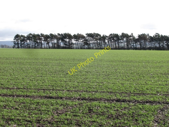 Photo 6"x4" Arable land, East Saltoun East Saltoun c2011