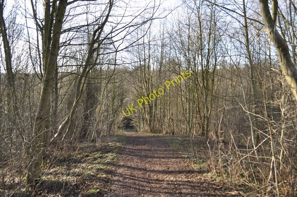Photo 6"x4" Old Midland Line Pleasley c2011