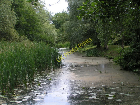 Photo 6"x4" Moat at Michelham Priory Upper Dicker c2010