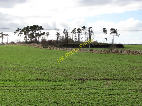 Photo 6"x4" Arable land, West Newhall Kingsbarns c2011