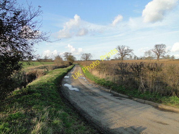 Photo 6"x4" Looking north up Botany Lane, Stratford St Andrew Statford St Andrew c2011