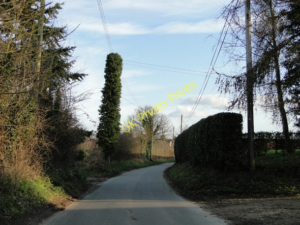 Photo 6"x4" Telegraph pole covered in ivy, Sweffling Sweffling c2011