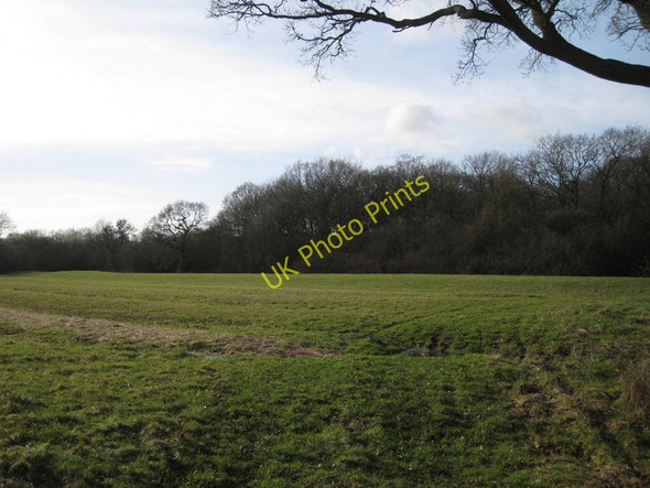 Photo 6"x4" Hobditch, Dean's Green Blunt's Green c2011