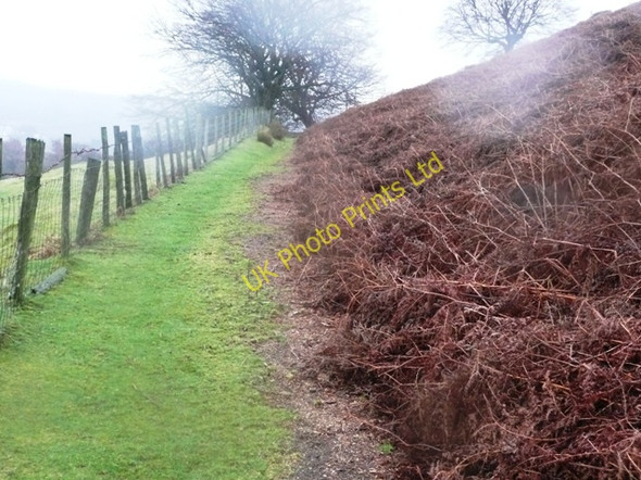 Photo 6"x4" Just in Abersychan c2008