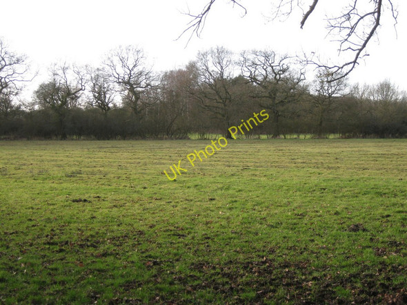 Photo 6"x4" Meadow, Deans Green nature reserve Blunt's Green c2011