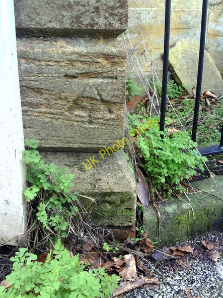 Photo 6"x4" Benchmark on the side of #27 The Park Yeovil c2011