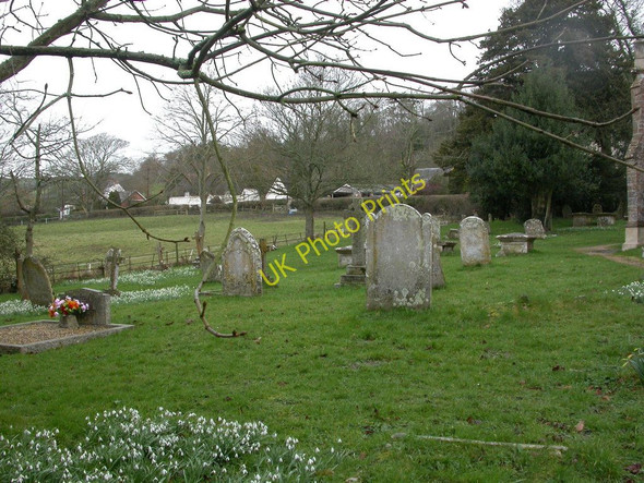 Photo 6"x4" Buckland Newton, churchyard Buckland Newton c2011
