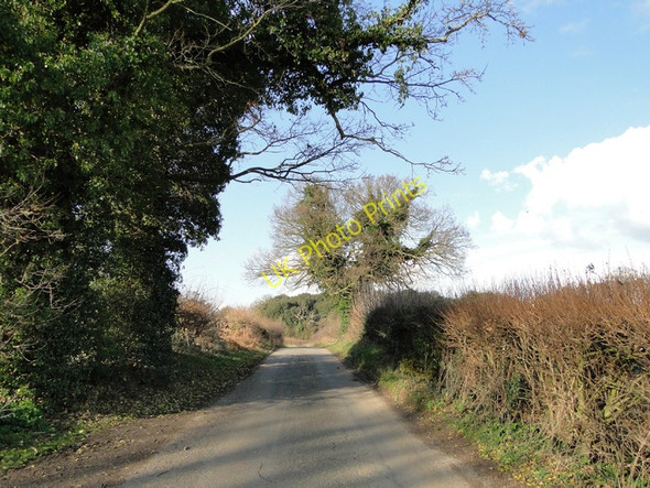Photo 6"x4" Rose Hill, south of Friday Street, Farnham, Suffolk Friday Street\/TM3760 c2011