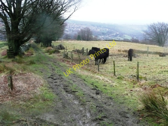 Photo 6"x4" Byway to Pentre-Piod Abersychan c2008