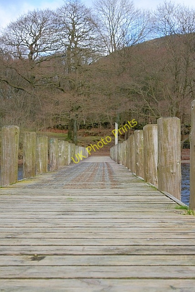 Photo 6"x4" Dodgson Wood Pier Scar Head c2011