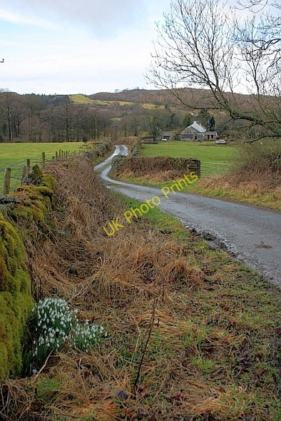 Photo 6"x4" Lane to Fair Rigg Ayside c2011