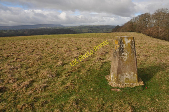 Photo 6"x4" Trig point above Newbarns Wood Kerry's Gate c2011