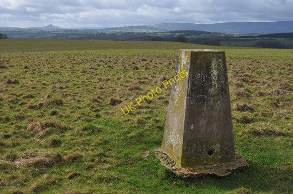 Photo 6"x4" Trig Point and view to the south Kerry's Gate c2011