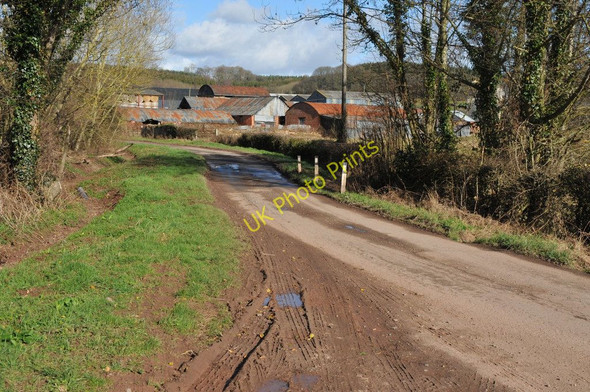 Photo 6"x4" Blackmoor Farm Kerry's Gate c2011