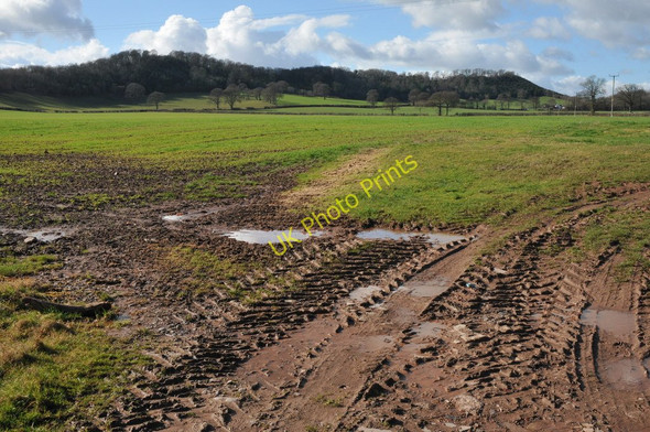 Photo 6"x4" Arable land near Blackmoor Farm Kerry's Gate c2011