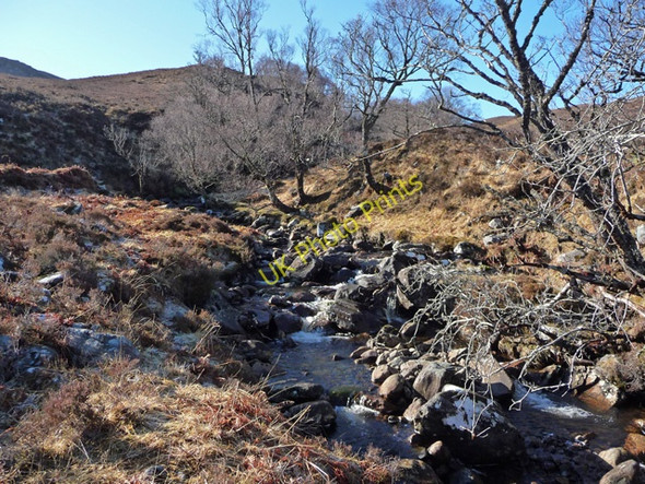 Photo 6"x4" Allt na F\u00c3\u00a8ithe Buidhe Killilan c2011