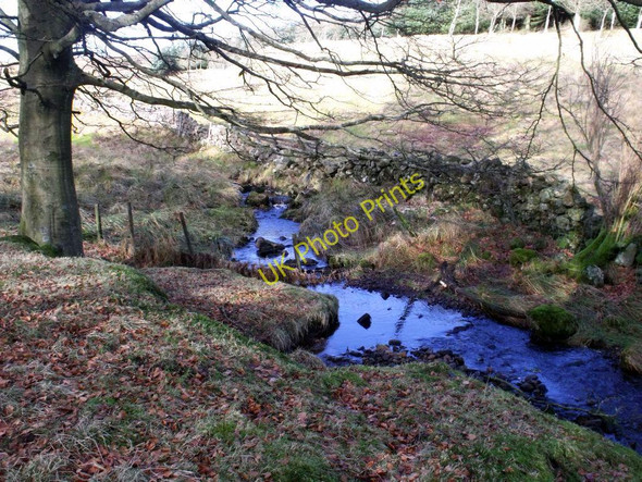 Photo 6"x4" Kilsyth Hills, Craigdouffie Burn High Banton c2011