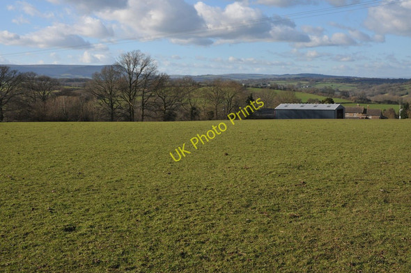 Photo 6"x4" Herefordshire countryside Rowlestone c2011