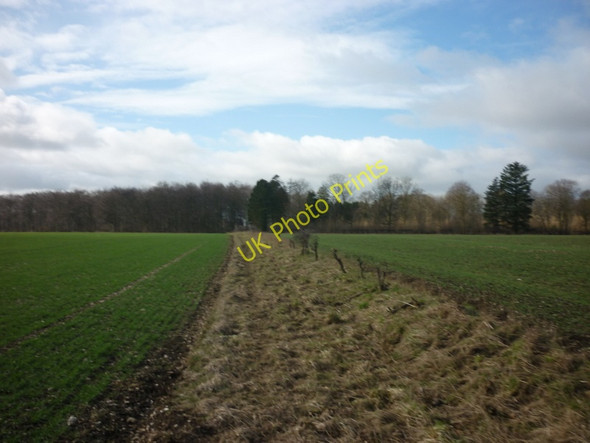 Photo 6"x4" Walking towards Cherry Wood Sledmere c2011
