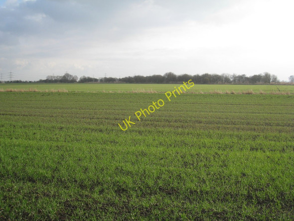 Photo 6"x4" View towards the Folly Drain Derrythorpe c2011