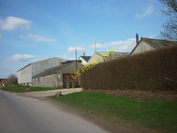 Photo 6"x4" Duck Nest Farm Rascal Moor c2011
