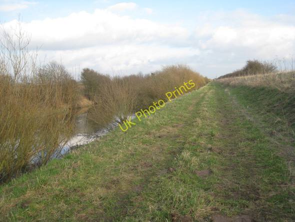 Photo 6"x4" Alongside the River Torne Ealand c2011