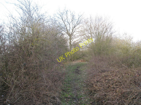 Photo 6"x4" The Course of the Axholme Joint Railway Woodhouse\/SE7808 c2011