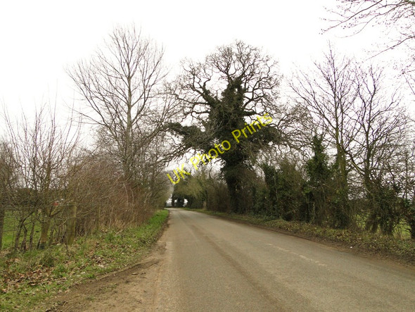 Photo 6"x4" Winch Road at Gayton Gayton\/TF7219 c2011