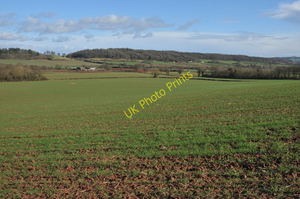 Photo 6"x4" View to Cockyard Kerry's Gate c2011