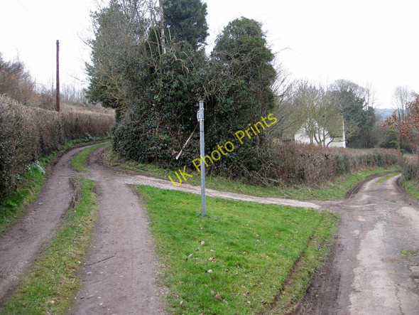 Photo 6"x4" Minor road and footpath Boulsdon c2011