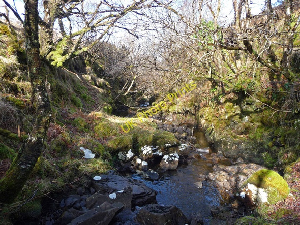 Photo 6"x4" In the gorge of the Allt Mhochaidh Drumfearn\/Druim Fhearna c2011