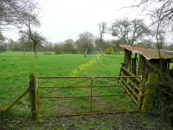 Photo 6"x4" Old orchard by Moorend Farm Bridge End\/SO8031 c2011