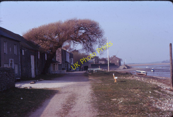 Photo 6"x4" The Cotton Tree (in 1974) Sunderland\/SD4255 c1974