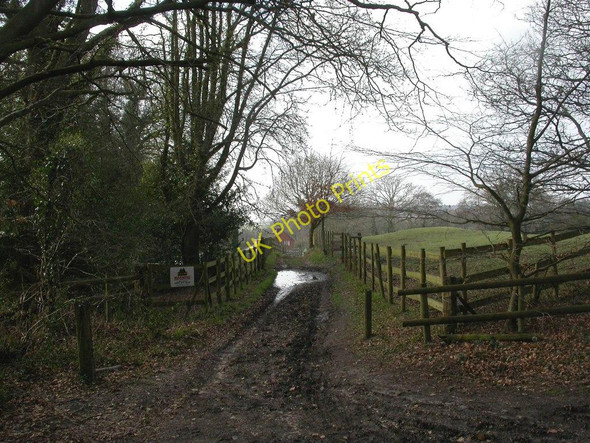 Photo 6"x4" Gotham, bridleway Gotham\/SU0811 c2011