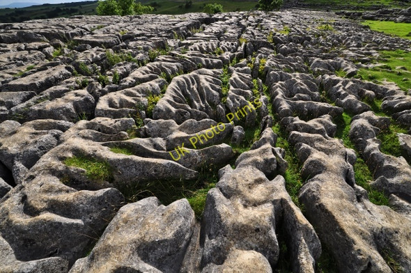 Photo 6"x4" Limestone pavement at Malham Cove Malham\/SD9062 c2009