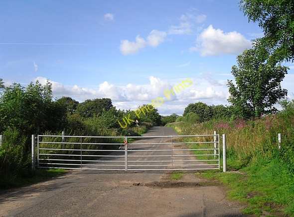 Photo 6"x4" Gates across road to Ruleholme Bridge Irthington c2009