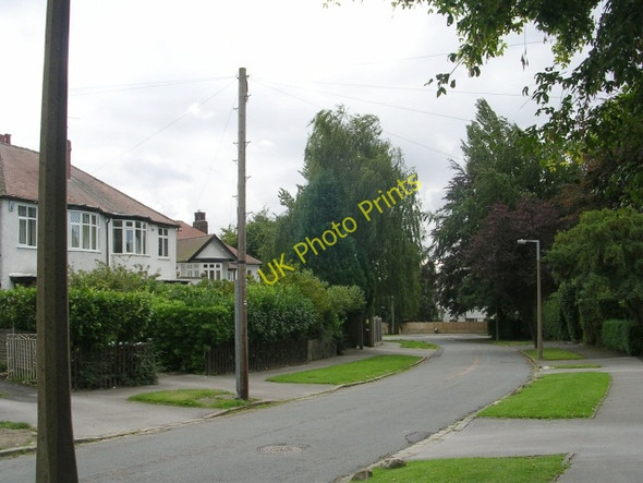 Photo 6"x4" Falkland Mount - Broomhill Drive Moortown\/SE3038 c2009