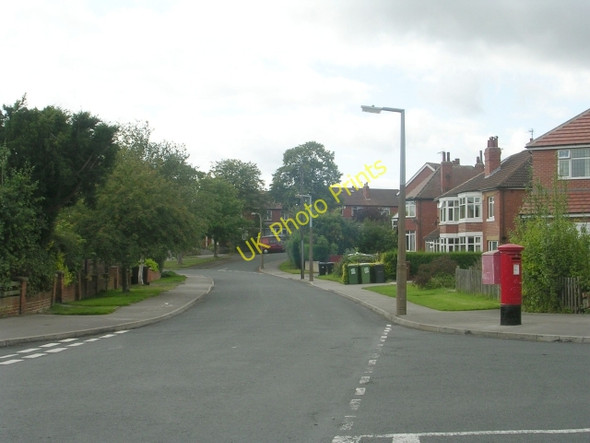 Photo 6"x4" Stainburn Avenue - viewed from Nunroyd Road Lidgett Park c2009