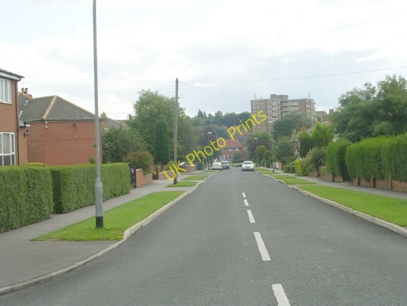 Photo 6"x4" Stainburn View - Stainburn Avenue Lidgett Park c2009
