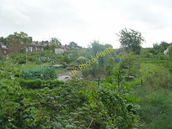 Photo 6"x4" Allotments - Gledhow Valley Road Chapel Allerton\/SE3037 c2009