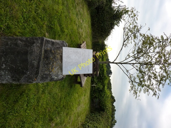 Photo 6"x4" Millennium Tree and Plaque Moorlinch c2009