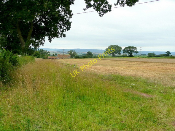 Photo 6"x4" Partly-harvested land at Brockhampton Brockhampton\/SO5931 c2009