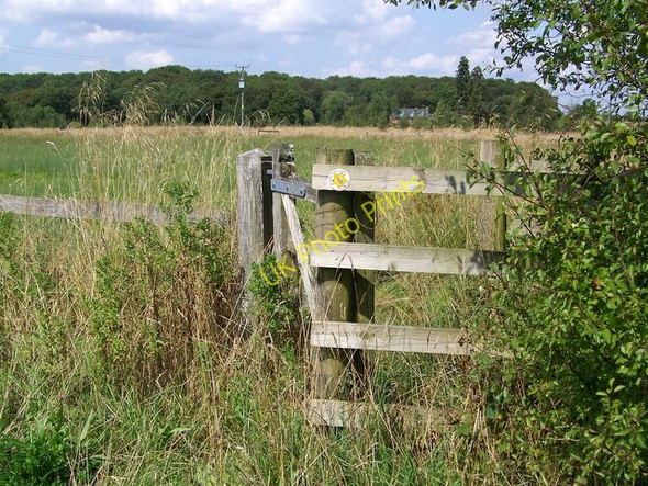 Photo 6"x4" Footpath near Minety Minety c2009